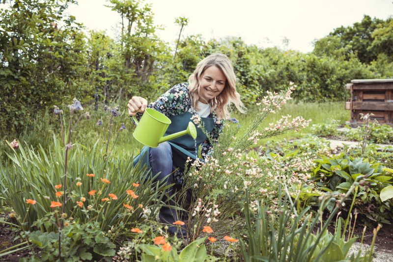 Garden Maintenance