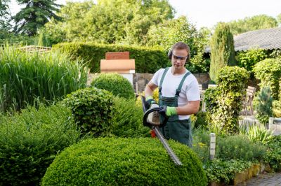 Budget-Friendly Garden Care Expenses - Cost of Garden Maintenance