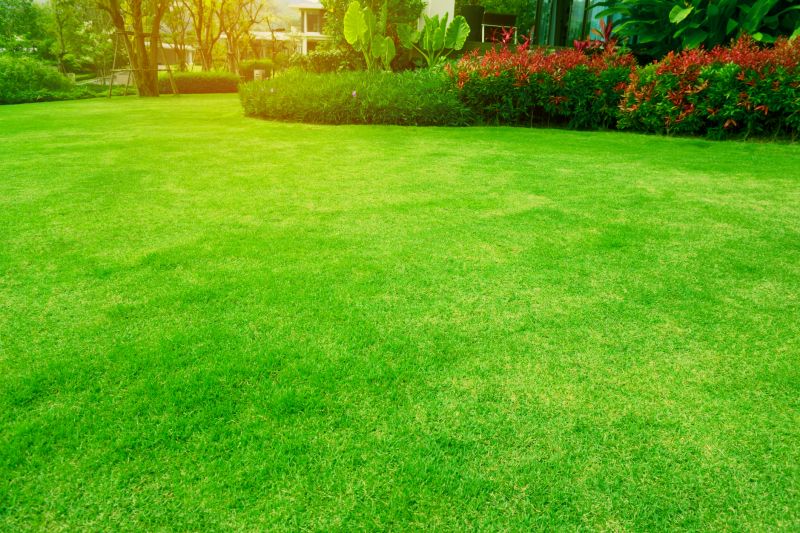 Budget-Friendly Garden Care Expenses - Cost of Garden Maintenance