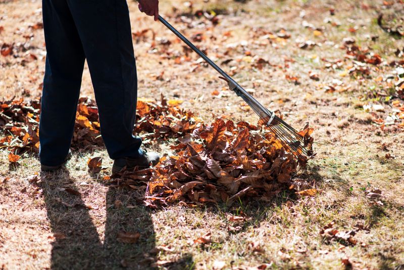 Leaf Raking Efficiency
