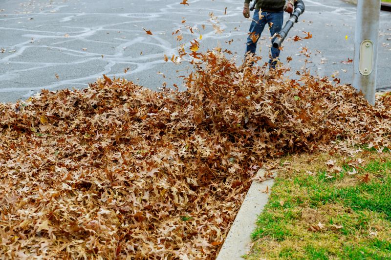 Leaf Blowing Precision